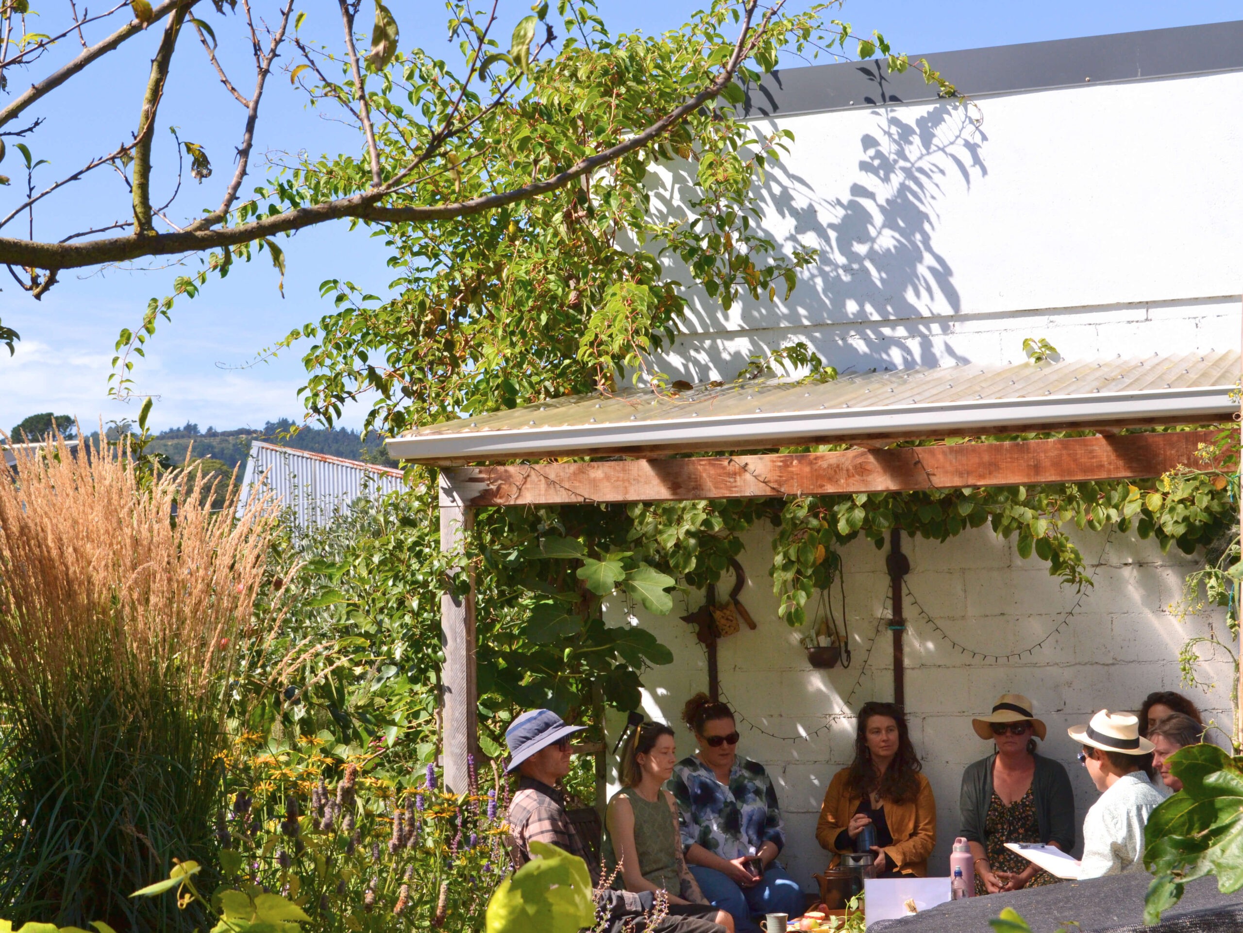 An Afternoon at George Street Orchard with Rory Harding