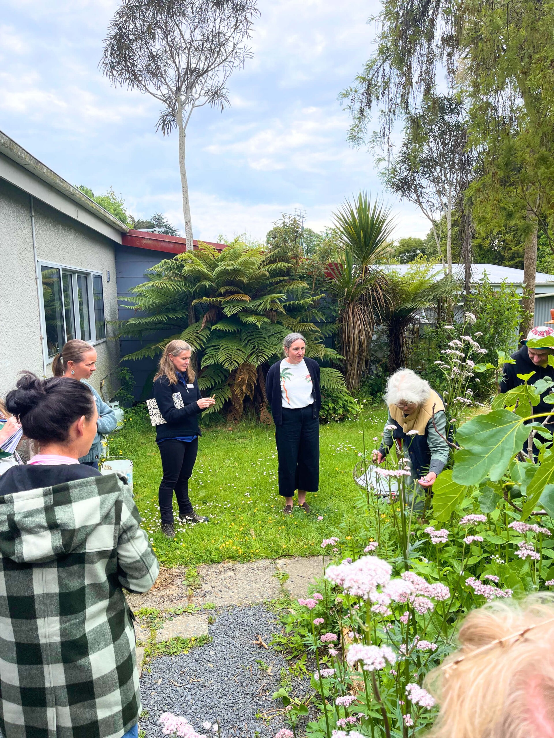 Herb & Weed Foraging with Jeannie Hayden at Fat Weka Farm